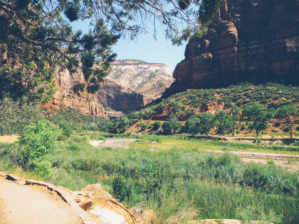 Zion National Park