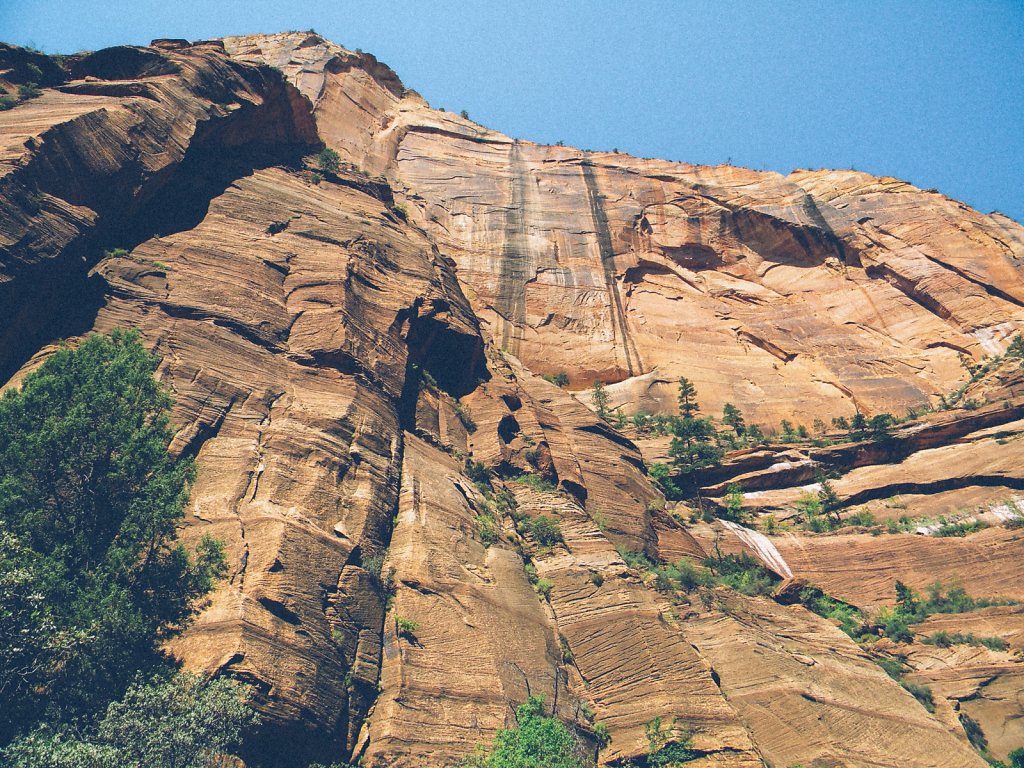 Zion National Park