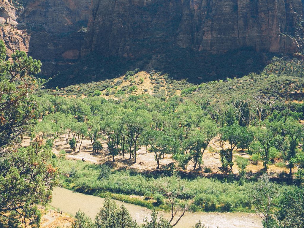 Zion National Park