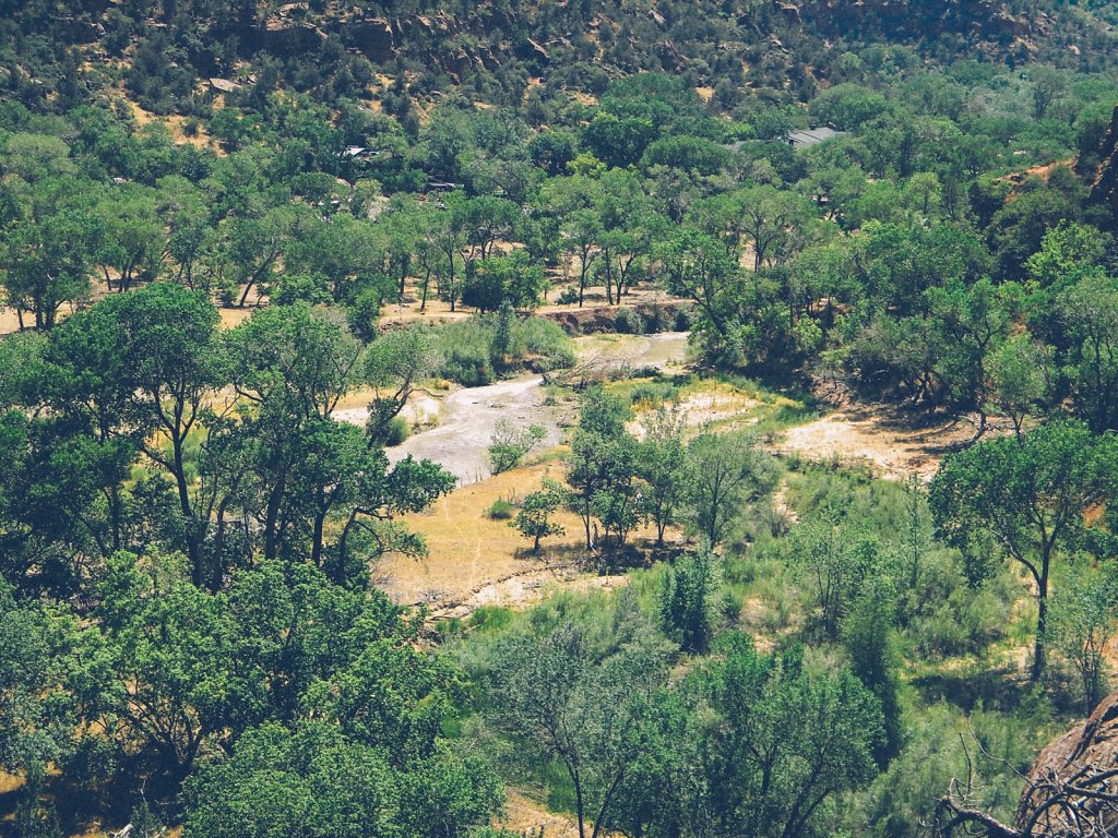 Zion National Park