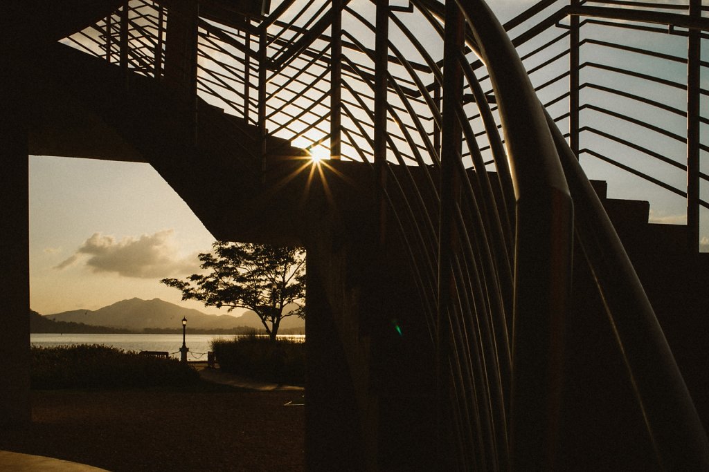 Biomuseo | Museo de la Biodiversidad